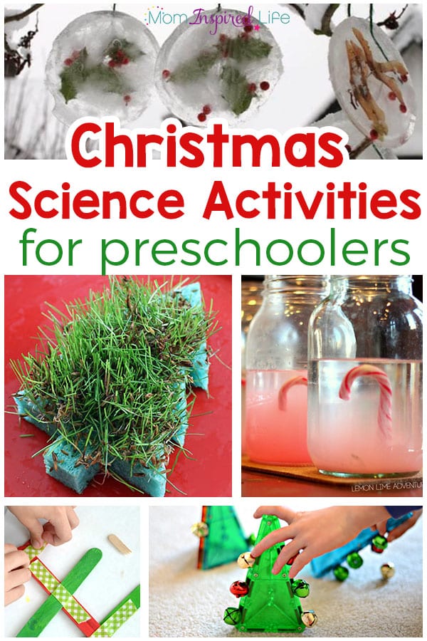 What are some fun preschool science activities?